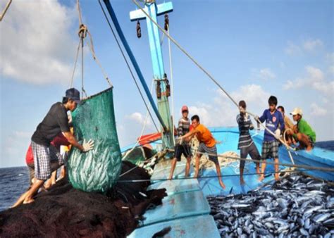 far far far ငါးဖမ်းဗားရှင်း|ကျောက်ဖြူ ရေနက်ဆိပ်ကမ်း စီမံကိန်းကြောင့် .